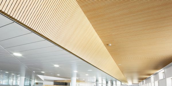 Instaladores de falsos techos de madera