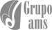 Grupo AMS